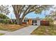 Charming home exterior featuring a manicured yard, freshly painted siding, and a vibrant orange front door at 1707 Darlington Dr, Tampa, FL 33619