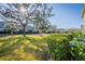 Back view of the community with lawns and buildings on a sunny day at 1708 Sunset Wind Loop, Oldsmar, FL 34677