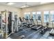 Well-equipped fitness center featuring various exercise machines and plenty of natural light at 1708 Sunset Wind Loop, Oldsmar, FL 34677