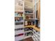 Organized pantry with ample shelving for storage, including corner shelves and wine storage at 1708 Sunset Wind Loop, Oldsmar, FL 34677