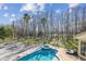 Aerial view of the backyard featuring a sparkling pool, and a lush green landscape at 17336 Ballmont Park Dr, Odessa, FL 33556