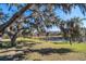 Serene pond view with lush vegetation and large oak trees at 18419 Tyler Rd, Odessa, FL 33556