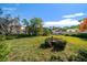 Grass backyard with bird bath feature at 2389 Sarazen Dr, Dunedin, FL 34698