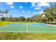 Outdoor basketball court with two hoops at 3312 Cobbs Ct, Palm Harbor, FL 34684