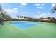 Two blue tennis courts, green perimeter at 3312 Cobbs Ct, Palm Harbor, FL 34684