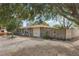 House exterior showcasing a gray house with a large tree and fenced yard at 5157 School Rd, New Port Richey, FL 34653