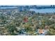 Scenic aerial view emphasizing the property's location amid lush greenery with the bay and skyline visible at 540 Villagrande S Ave, St Petersburg, FL 33707