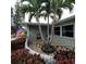 Landscaped front yard with palm trees and a curved walkway at 568 Seacrest Dr, Largo, FL 33771