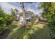 Spacious backyard with lush landscaping and large tree at 620 26Th N Ave, St Petersburg, FL 33704