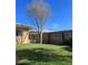 Backyard with a tree, wooden fence, and lawn at 1019 Mandalay Ave, Clearwater Beach, FL 33767