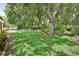 Large backyard with lush grass and mature trees providing shade at 12433 Shadow Ridge Blvd, Hudson, FL 34669