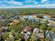 Aerial view of the house and the neighborhood at 15927 Ternglade Dr, Lithia, FL 33547