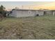 Exterior shot of the backyard with chain link fence at 1804 Cadillac Cir, Tampa, FL 33619