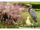 Great blue heron standing near a Buddha statue in a garden at 1900 41St N St, St Petersburg, FL 33713