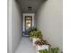 Front entry with gray door and potted plants at 3010 Palm Key Ave, Oldsmar, FL 34677