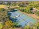 Aerial view of multiple tennis courts with green and blue surfaces in a leafy, recreational setting at 3310 Carib Rd, Tampa, FL 33618