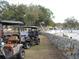 Community golf carts sit near the pool and recreation area at 3829 Biscay Pl, Land O Lakes, FL 34639