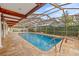 Outdoor pool area with screened enclosure, tile patio, ceiling fan, wood beams and mature landscaping at 3903 Sand Dollar Pl, Tampa, FL 33634