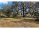 Large grassy yard with mature trees and a shed at 5104 Nesmith Rd, Plant City, FL 33567