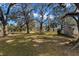 Open grassy yard with mature oak trees and a shed at 5104 Nesmith Rd, Plant City, FL 33567