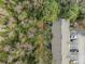 Aerial view of townhouses and surrounding wooded area at 11336 Cayman Key Ave, Tampa, FL 33624