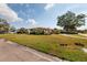 View of a pink house from across the street, showing a large yard at 2351 Leslee Lake N Dr, St Petersburg, FL 33713