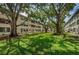 Exterior of apartments set among large shade trees and well manicured grassy lawn at 5880 38Th N Ave # 204, St Petersburg, FL 33710