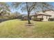 Large backyard with grassy area and mature tree at 19116 Sweet Clover Ln, Tampa, FL 33647