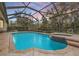 Inviting screened pool and spa with a tranquil setting at 19116 Sweet Clover Ln, Tampa, FL 33647