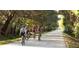 Scenic bike path through lush trees at 2413 Baywood E Dr, Dunedin, FL 34698