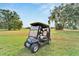 Black golf cart parked on the grass near trees at 302 Canton Ct # 63, Sun City Center, FL 33573