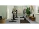 Home gym with stationary bike and free weights at 31575 Cardinal Yard Dr, San Antonio, FL 33576