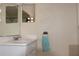 Bright bathroom with a white vanity, sink, and chrome fixtures and mirror at 5607 Tanagergrove Way, Lithia, FL 33547