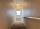 Carpeted staircase leading to the second floor of the home at 5607 Tanagergrove Way, Lithia, FL 33547