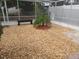 Landscaped backyard with gravel, palm tree and bench at 5611 Riddle Rd, Holiday, FL 34690