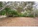 Large backyard with mature trees and plenty of space at 6514 Mariner Blvd, Spring Hill, FL 34609