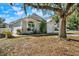 House exterior with tree and driveway, showcasing curb appeal at 7503 Wakulla Dr, Temple Terrace, FL 33637