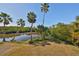 Calm waterway view with lush vegetation and palm trees at 1016 Teal Pointe, Tarpon Springs, FL 34689