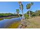 Calm water view with lush vegetation and palm trees at 1016 Teal Pointe, Tarpon Springs, FL 34689