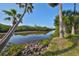 Serene waterfront view, lush vegetation and palm trees at 1016 Teal Pointe, Tarpon Springs, FL 34689