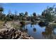 Tranquil canal view with lush vegetation at 11217 Riverview Dr, Riverview, FL 33569