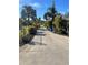 Long driveway with lush tropical landscaping and trees at 11217 Riverview Dr, Riverview, FL 33569