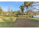 Expansive backyard with lush grass and mature trees at 18615 Yocam Ave, Lutz, FL 33549