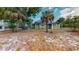 View of home's back and expansive grassy backyard at 2418 2Nd S Ave, St Petersburg, FL 33712