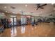 Fitness room with hardwood floors and exercise balls at 404 Manns Harbor Dr, Apollo Beach, FL 33572