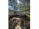 Backyard patio with overgrown vegetation and mature trees at 404 N Oakwood Ave, Brandon, FL 33510