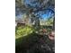 Backyard with shed, overgrown vegetation and mature trees at 404 N Oakwood Ave, Brandon, FL 33510