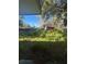 Backyard with shed, overgrown vegetation and mature trees at 404 N Oakwood Ave, Brandon, FL 33510