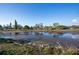 Peaceful backyard view of a serene pond with surrounding homes and trees at 6411 Monterey Blvd, Tampa, FL 33625