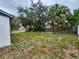 Large backyard with mature trees and room for landscaping at 6502 S Himes Ave, Tampa, FL 33611